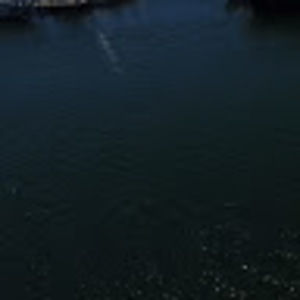 Meet your Posher, Jaden